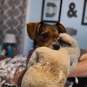 Meet your Posher, Angela